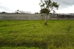 El lote plano con su árbol y la vista a las montañas