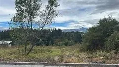 Vista del terreno hacia las montañas